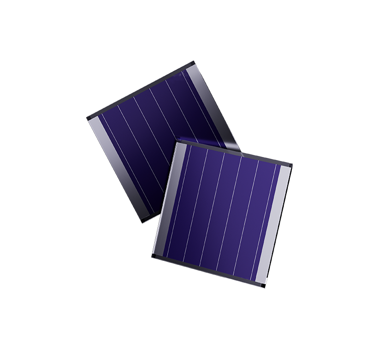 What is OPV ?