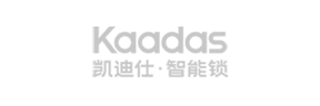 凯仕迪.png